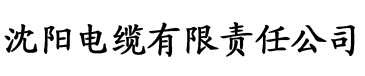 国产免费香蕉久久九九精品视频电缆厂logo